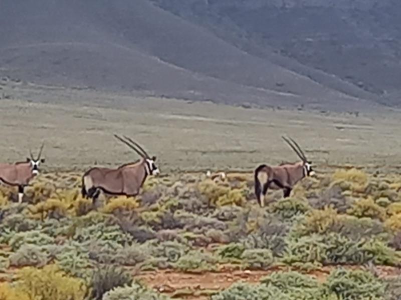 9 Bedroom Property for Sale in Sutherland Northern Cape